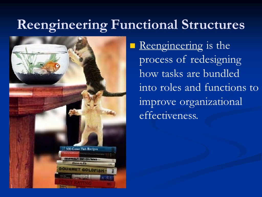Reengineering Functional Structures Reengineering is the process of redesigning how tasks are bundled into